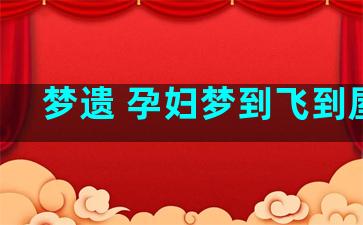 梦遗 孕妇梦到飞到屋顶